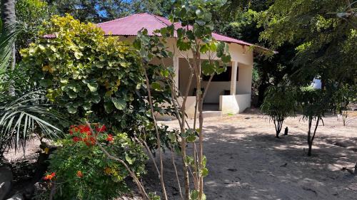 Kafountine Bed & Breakfast | Lodge Jamarek