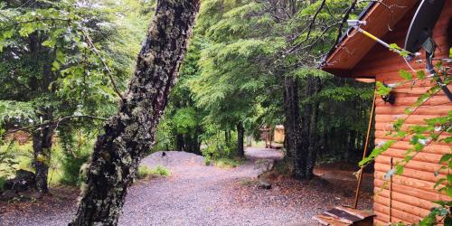 Palguin Alto Cabin | Lodge Palguin Alto
