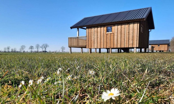 Ruinerwold House | Lodges in Drenthe with Scenic Meadow Views