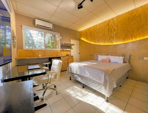 Puerto Barrios Apartment | Loft Moderno