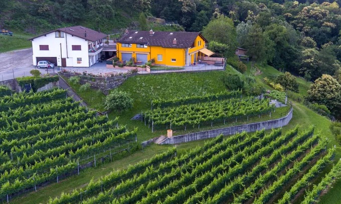 Giubiasco Apartment | Loft Scarpa surrounded by greenery