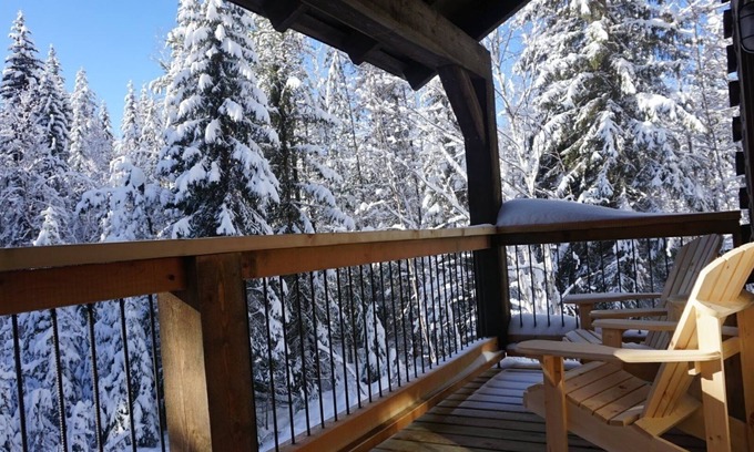 Golden Cabin | Log Dovetail Bison Cabin - Mountain Life Getaway!
