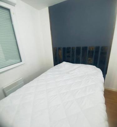 Quint-Fonsegrives Apartment | Logement balmacoeurs