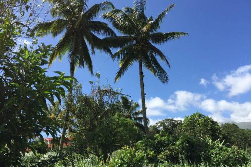 Le Morne-Rouge Apartment | Logement en pleine verdure tropicale -10 min plage