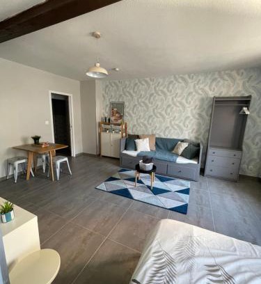 Poincare Apartment | Logement Les Plumes