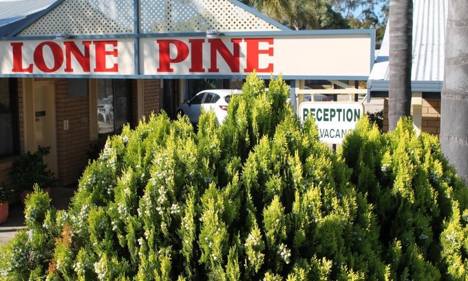 Corowa Hotel | Lone Pine Motel