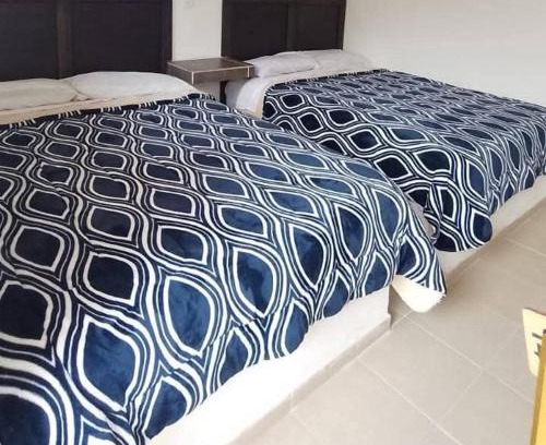Chignahuapan Hotel | Los ajolotes