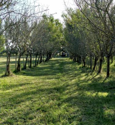 Veronica House | Los Almendros