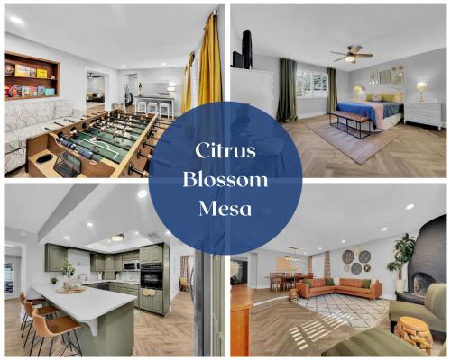 Dobson Ranch House | Los Lagos Mesa