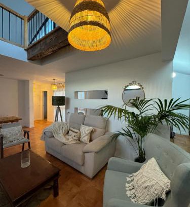 Plasencia Apartment | Los Patios.