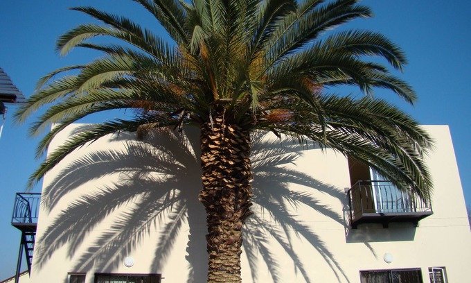 Edenvale Bed & Breakfast | Louhallas Bed & Breakfast