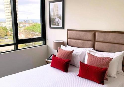 Surfers Paradise Apartment | Lovely 1 Bedroom Apt in Surfers Paradise