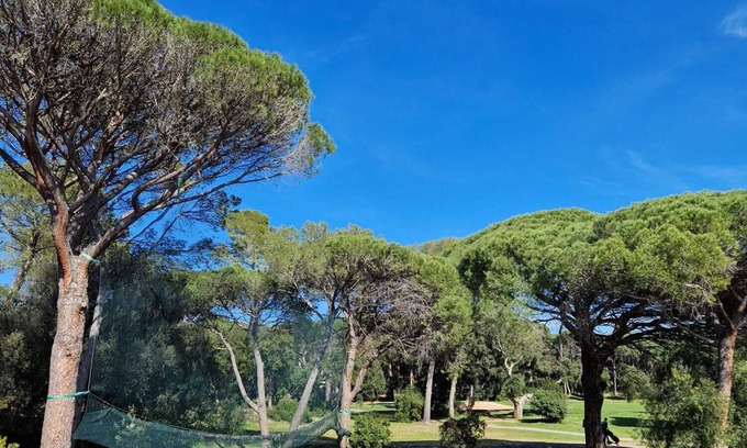 Valescure Apartment | Lovely 2-room apartment in a green setting 10 minutes from the beaches of Saint Raphael.