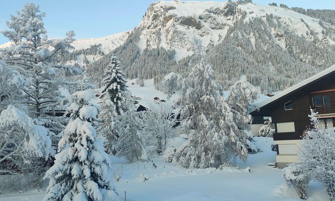 Lenk Apartment | Lovely apartment for 5 guests with WIFI and balcony