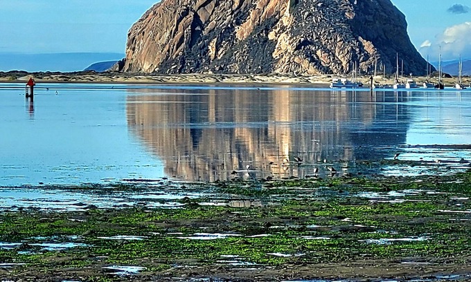 Baywood-Los Osos House | Low rates middle of the week for October. 15 minutes from Pismo Beach.
