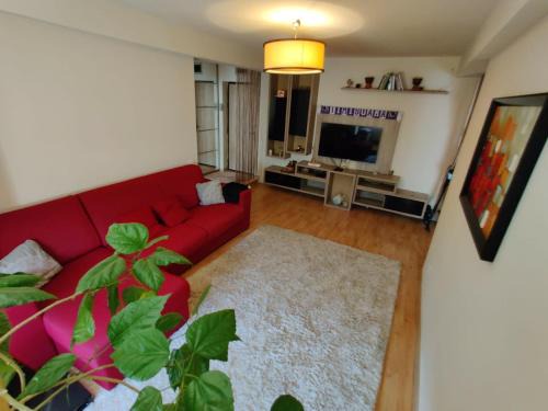Old City Apartment | Lucky Home Timisoara 1