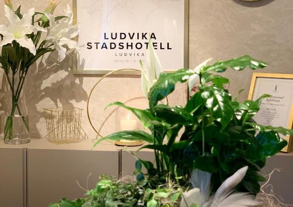 Hogberget-Centrum Hotel | Ludvika Stadshotell
