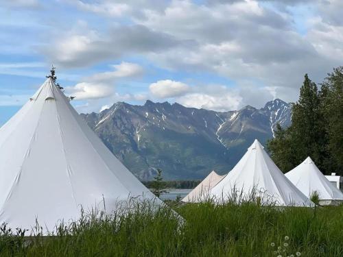 Knik River Other | Lulu's Glamping Tents and Events with Exceptional River View
