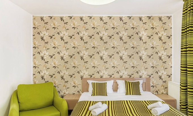 Brasov Apartment | Luna Studio | Mountain View and Parking | Sleeps 3