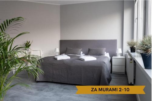 Old Town Apartment | Lunette Apartments