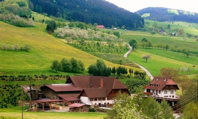 Oberharmersbach Apartment | Lunzenhof
