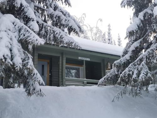 Syote House | Luokkatupa 2