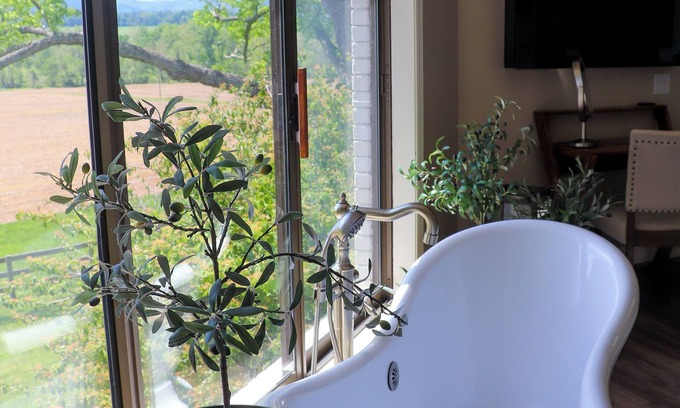 Haywood Other | Lush Countryside & Shenandoah Mountain Views at Quiet Hills Retreat