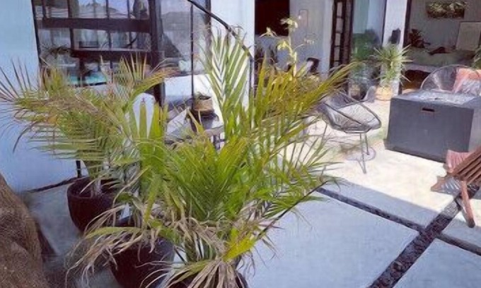 Westchester House | Lush Midcentury Home *As seen on HBO’s Sweet Life*