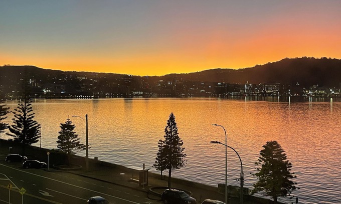 Oriental Bay Apartment | Lux Waterfront in Oriental Bay