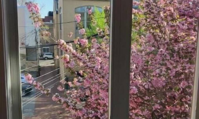 Dupont Circle House | Luxe, Metro & Free parking!