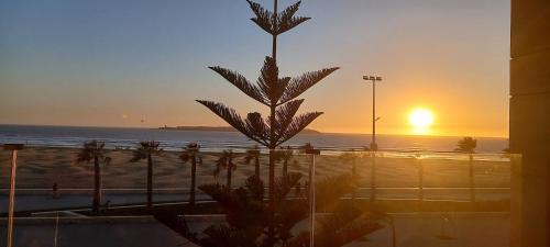 Essaouira Coast Apartment | Luxueux appartement sur la corniche vue sur l Ocean