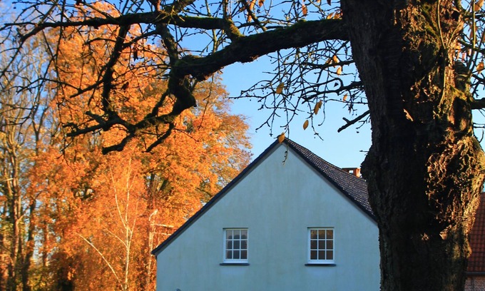 Pietrain House | Luxurious country house 4 bedr/8 p with large garden, jacuzzi and billiards