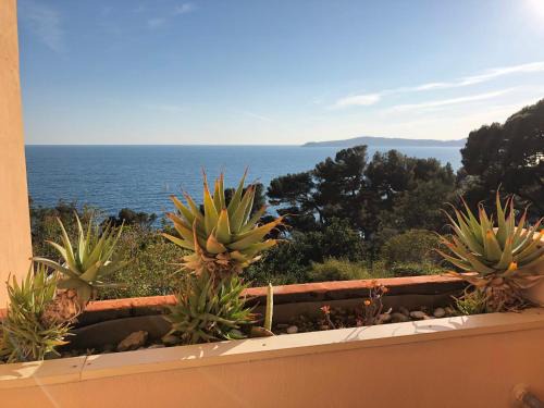 Cap d'Ail Apartment | Luxurious sea view apartment