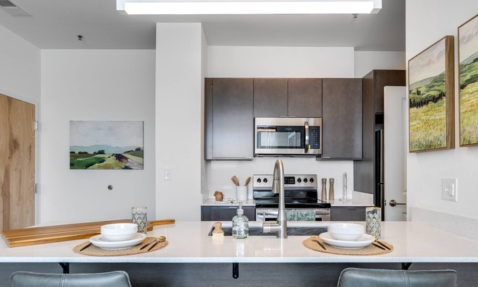 Museum District Apartment | Luxury 1 Bedroom Unit In Scotts Addition
