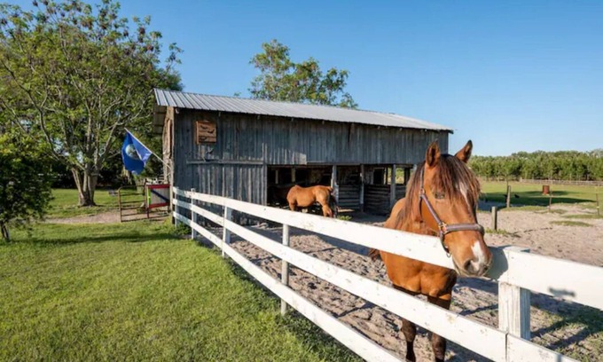 Live Oak House | Luxury and comfort Rv on a farm