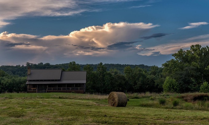 Helmsburg Cabin | Luxury cabin next to charming goat farm sanctuary!