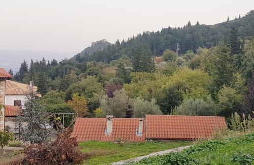Pikoulianika House | Luxury House In The Hills