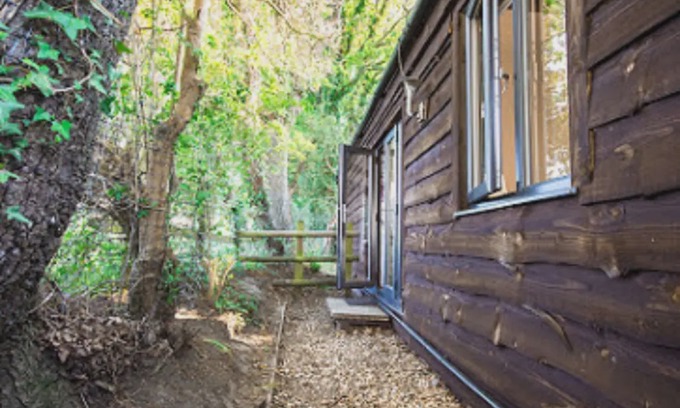 New Forest District Cabin | Luxury Lodge in the New Forest National Park Sway