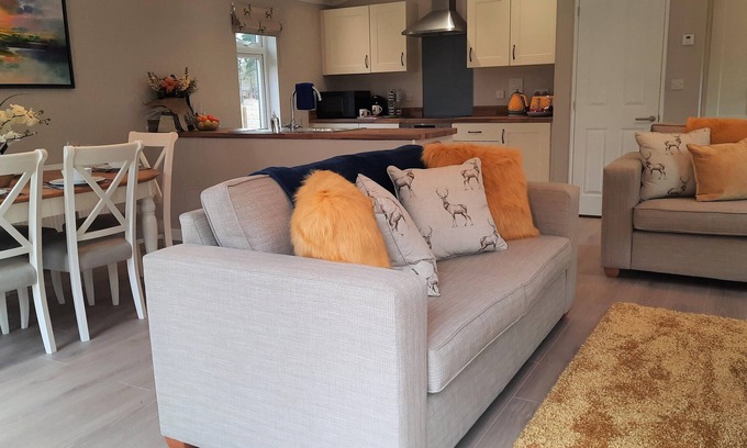 Ryther Apartment | Luxury Lodge with Woodland view with hot tub at Hollicarrs - Stag Lodge