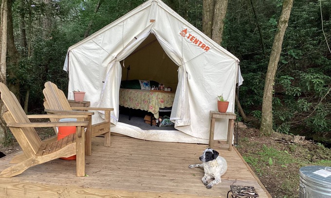 Turtletown RV Rental | Luxury Off Grid Camping at its finest
