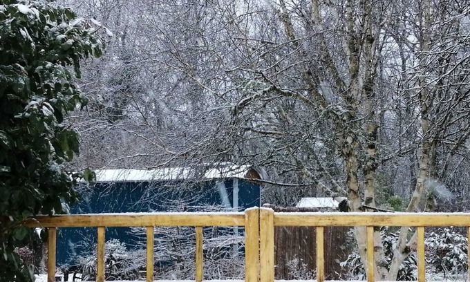 Holcombe Burnell Cabin | Luxury Shepherds Hut Retreat in Devon near Exeter & Dartmoor. Views into woods.