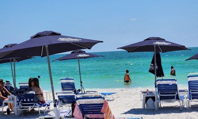 United Central Apartment | Luxury St Pete apt close to Central, Downtown and the Beach.