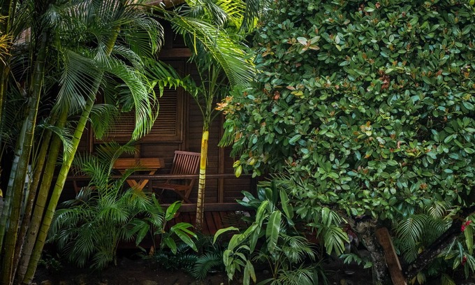 El Limon Cottage | Luxury Staffed 3-bedroom cottage with AC 2 min away from Playa Estillero