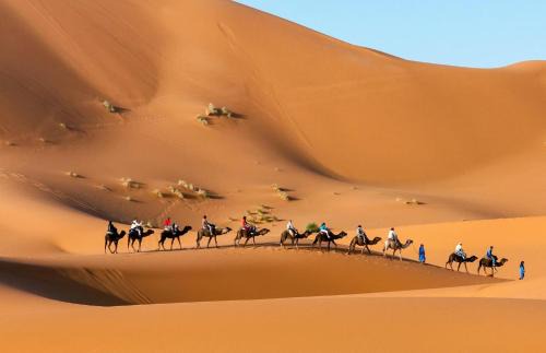 Taouz Other | Luxury trek desert camp