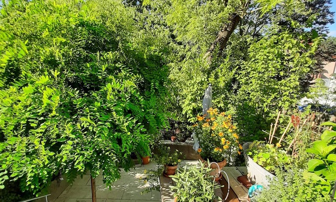 Kriegshaber Apartment | Luxusappartement mit Eigenem Garten Nähe Zentralklinikum