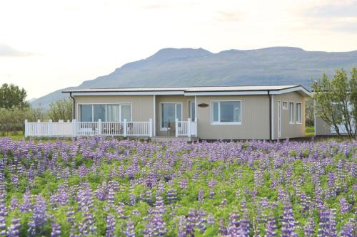 Hjardarfell House | Lynghagi House