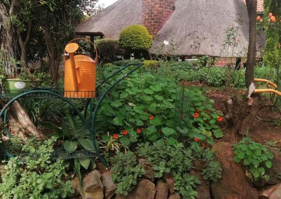 Greater Johannesburg Metropolitan Area Apartment | M &M Guest Cottage