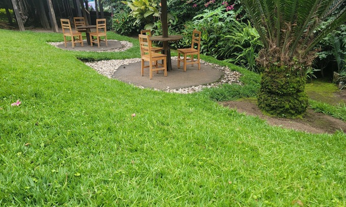 Gisenyi Bed & Breakfast | Maddy's Kitchen and Accomodation