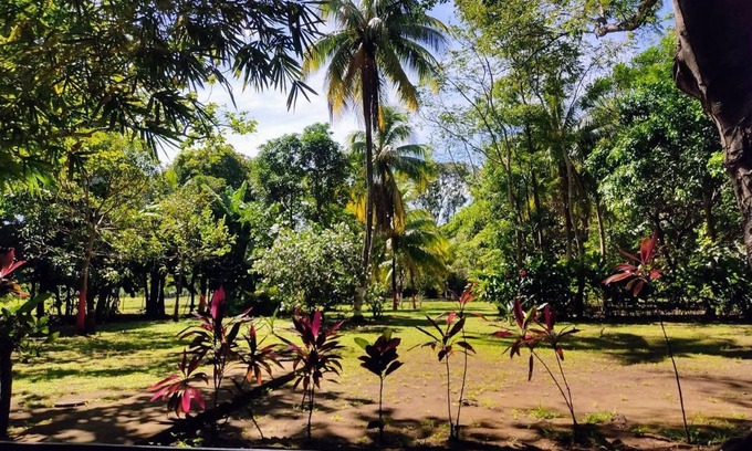 Diriomo House | Madinina's haven. nAC, opt.fiber and amazing surroundings