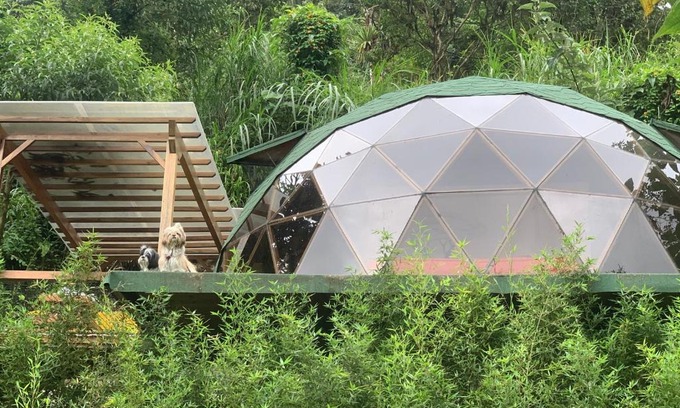 Mindo Apartment | Magic Elf Glamping